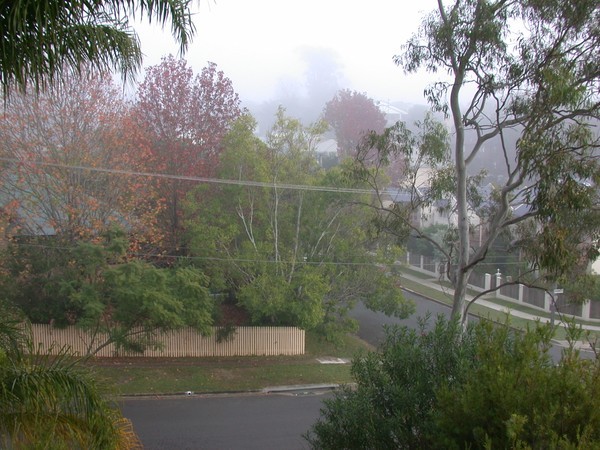 Winter Day (mist)